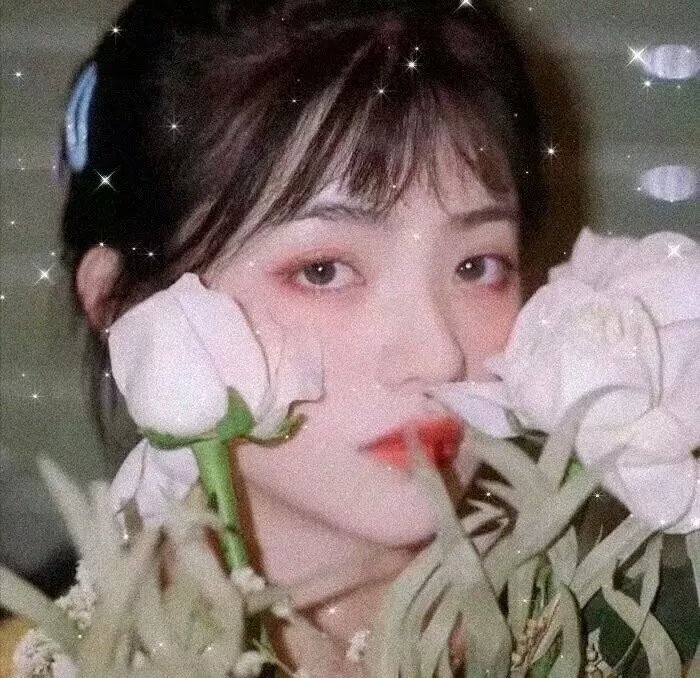 完美物质